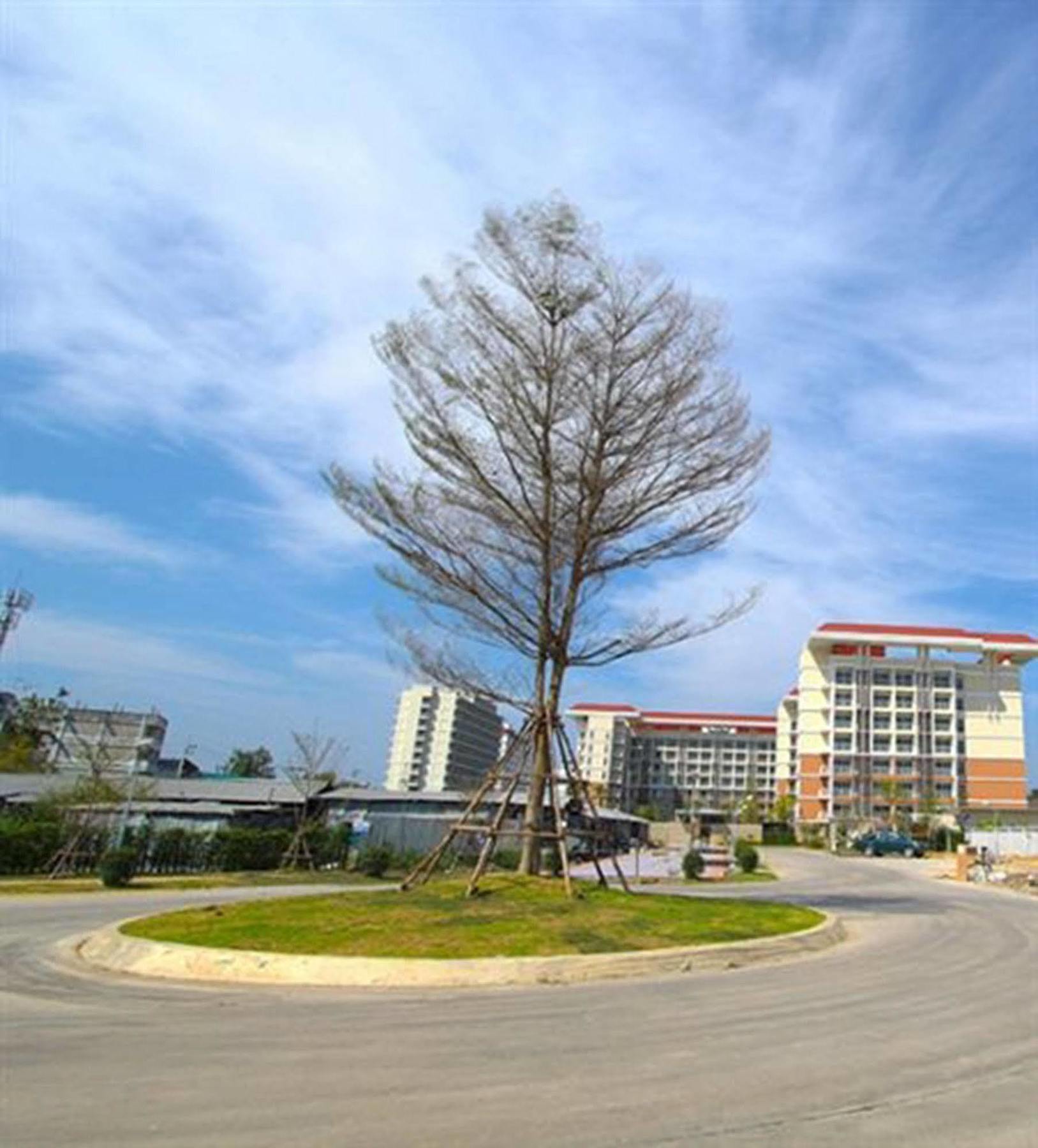 Grow Residences Μπανγκόκ Εξωτερικό φωτογραφία